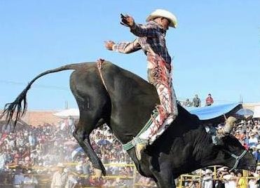 Acrópolis será sede del “Torneo Nacional de toros de reparo a lazo”