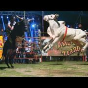 Saúl “El Jaguar” y “Los Destructores” en ACRÓPOLIS