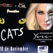 Con una megaproducción, Cats llega a Puebla el dia de mañana