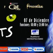 CATS EL MUSICAL LLEGA A PUEBLA
